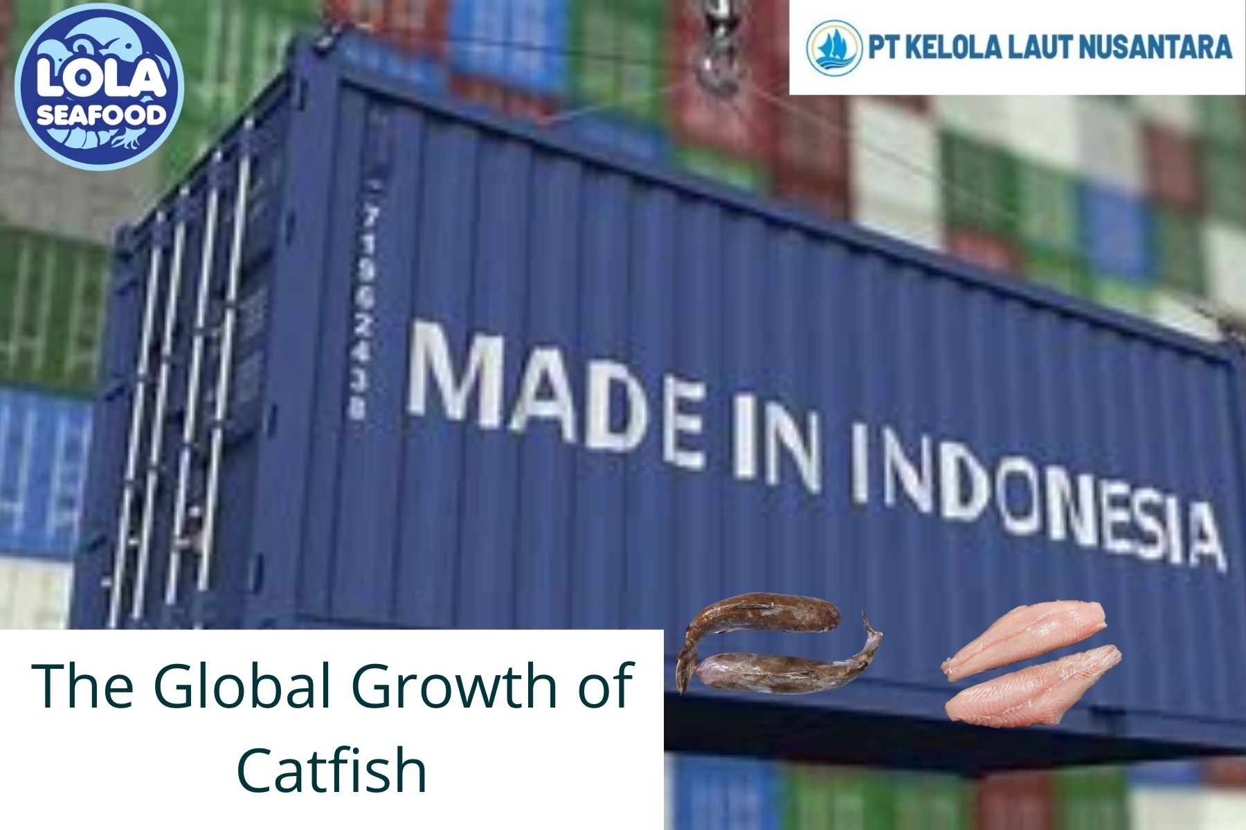 Here are The Global Growth of Catfish Export and Import